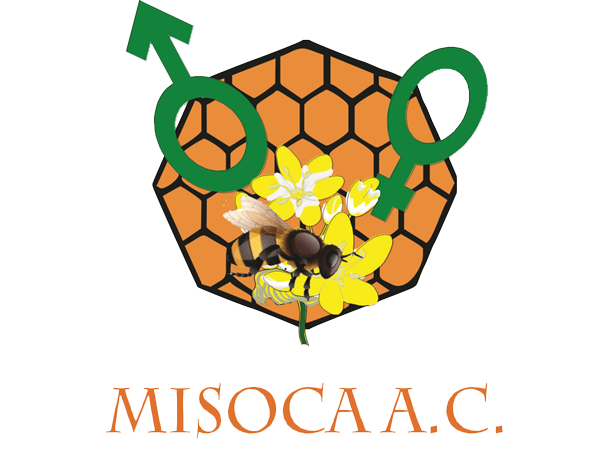 Logo MISOCA